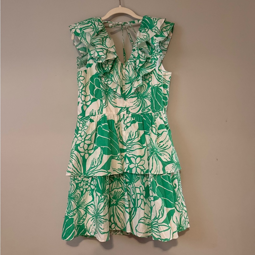 Lilly Pulitzer Ritamarie Tropical Cotton Ruffle Dress - Picture 6 of 6